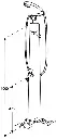 Image7.webp